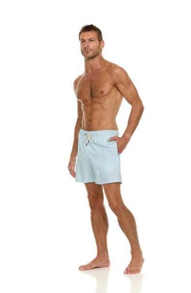 Harmonqlo Seymour Lined Swim Trunks
