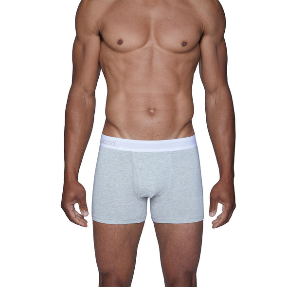 Wood Boxer Brief w/Fly in Heather Grey